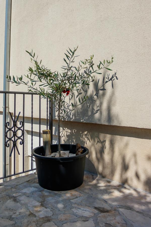 Apartmani Petar Тиват Екстер'єр фото